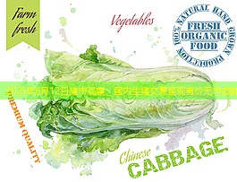 2025年6月12日猪市观察：国内生猪交易呈现有价无市态势