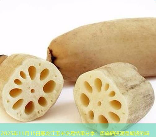 2025年11月15日黑龙江玉米交易结果分享