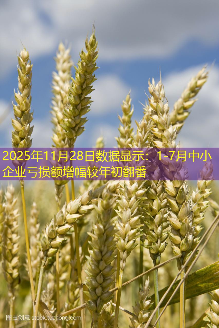 2025年11月28日数据显示：1-7月中小企业亏损额增幅较年初翻番