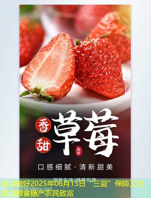 全力做好2025年06月15日“三夏”保障工作 助力粮食稳产农民致富