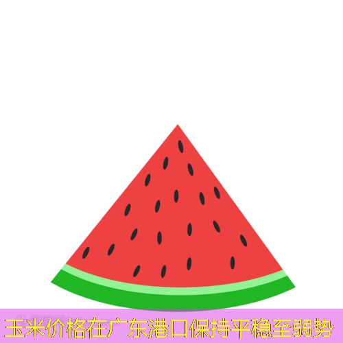 玉米价格在广东港口保持平稳至弱势