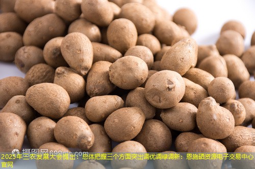 2025年三农发展大会提出：总体把握三个方面突出调优调绿调新