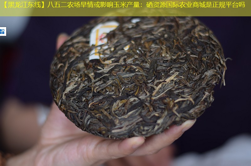 【黑龙江东线】八五二农场旱情或影响玉米产量