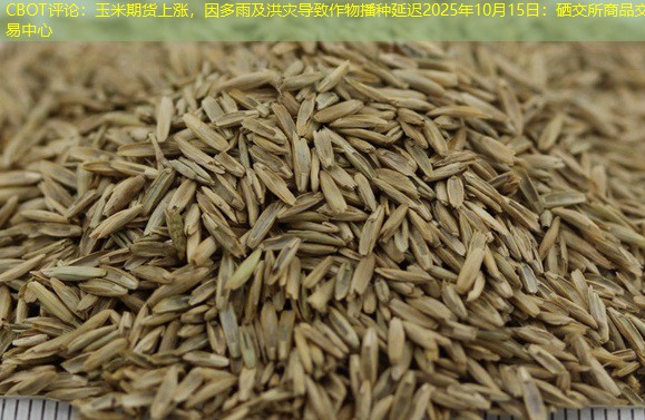 CBOT评论：玉米期货上涨，因多雨及洪灾导致作物播种延迟2025年10月15日