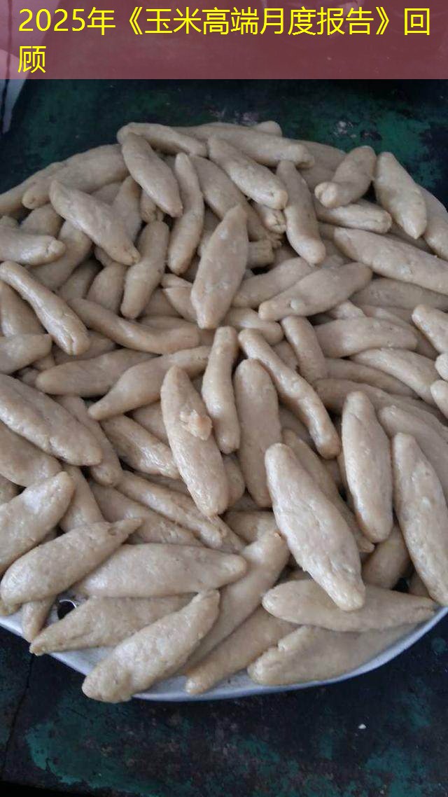 2025年《玉米高端月度报告》回顾