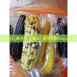 12月3日国外天气预报