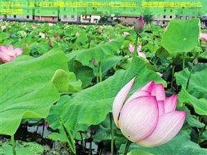 2025年11月14日江苏泰州地区油厂豆粕价格上涨阳光