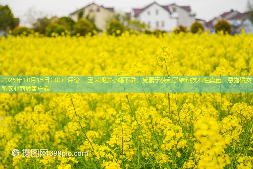 2025年10月15日CBOT评论：玉米期货小幅下跌，受累于获利了结和技术性卖盘