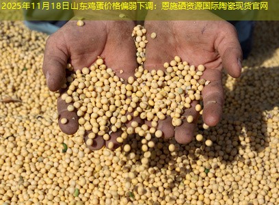 2025年11月18日山东鸡蛋价格偏弱下调