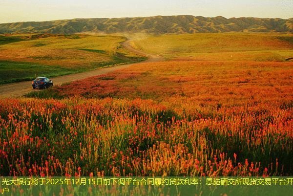 光大银行将于2025年12月15日前下调平台合同履约贷款利率
