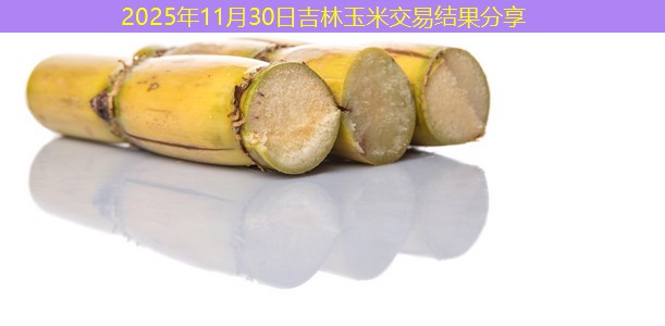 2025年11月30日吉林玉米交易结果分享