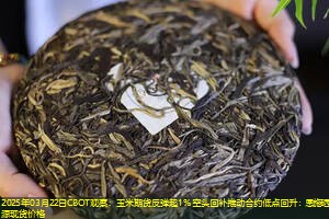 2025年03月22日CBOT观察：玉米期货反弹超1% 空头回补推动合约低点回升