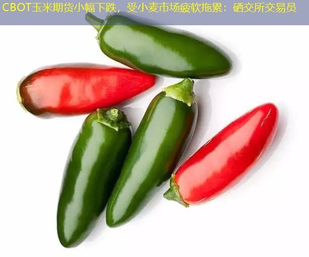 CBOT玉米期货小幅下跌，受小麦市场疲软拖累