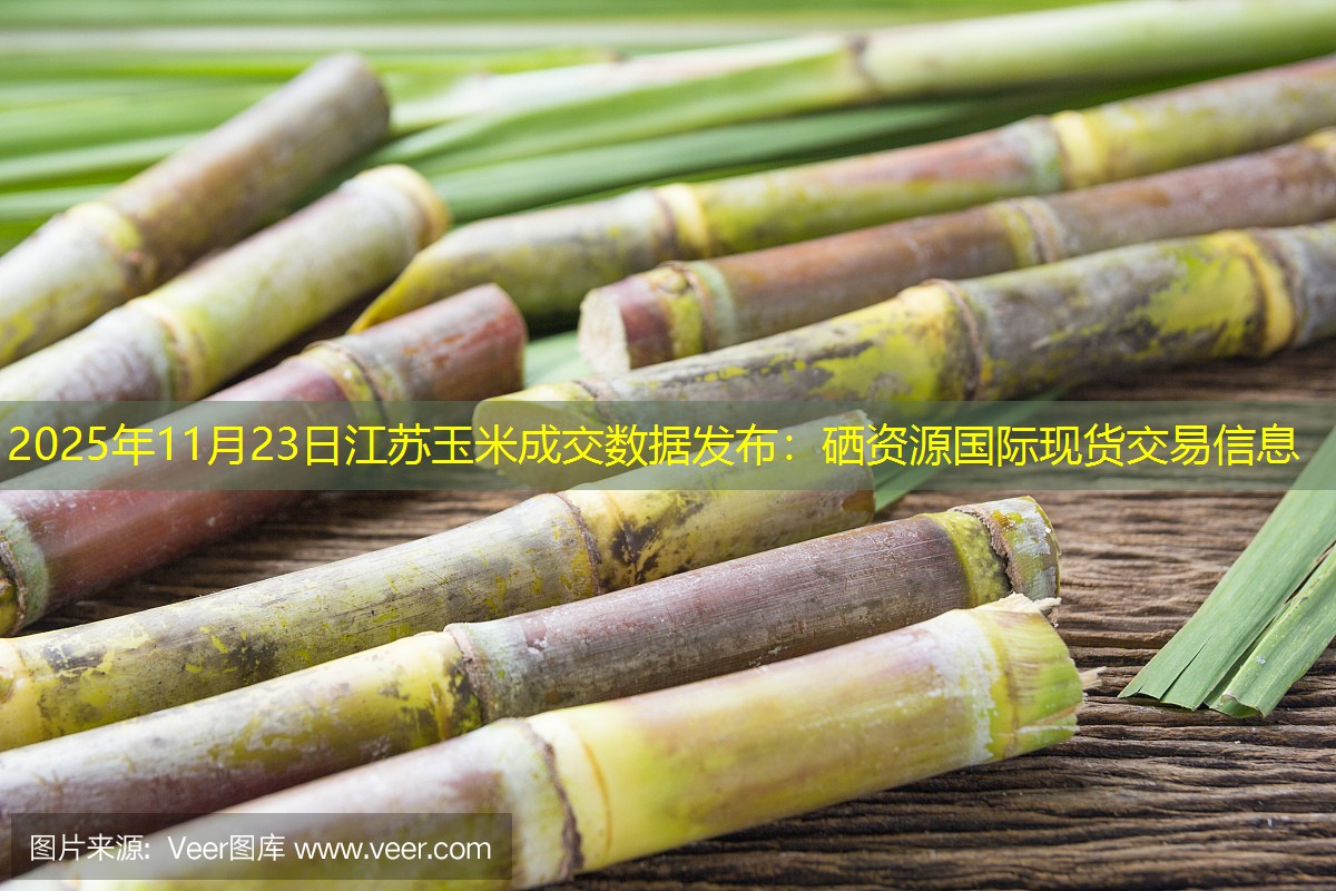 2025年11月23日江苏玉米成交数据发布