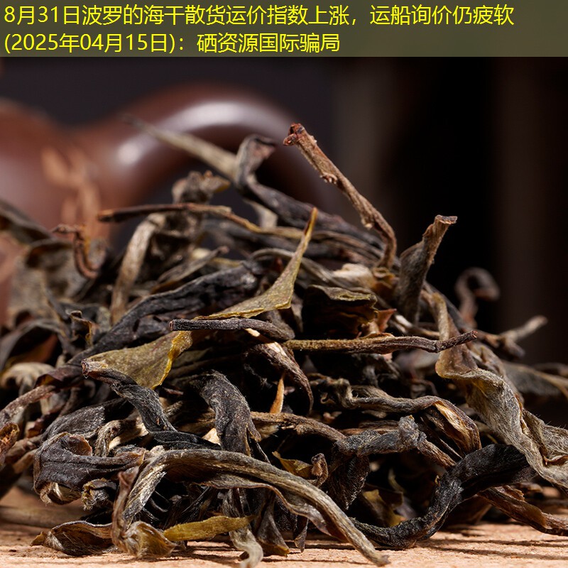 8月31日波罗的海干散货运价指数上涨，运船询价仍疲软(2025年04月15日)