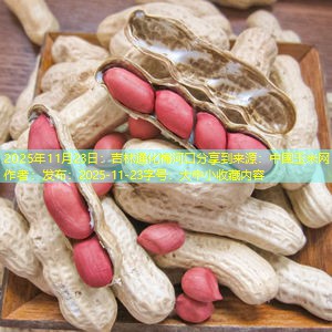 2025年11月23日：吉林通化梅河口分享到来源：中国玉米网作者：发布：2025-11-23字号：大中小收藏内容