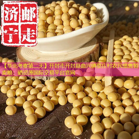 【华北考察第二天】开封市开封县曲兴镇蔡庄村农民惜售暂缓卖粮