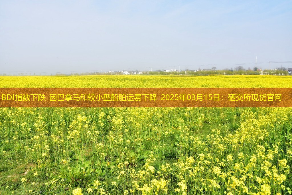 BDI指数下跌 因巴拿马和较小型船舶运费下降 2025年03月15日