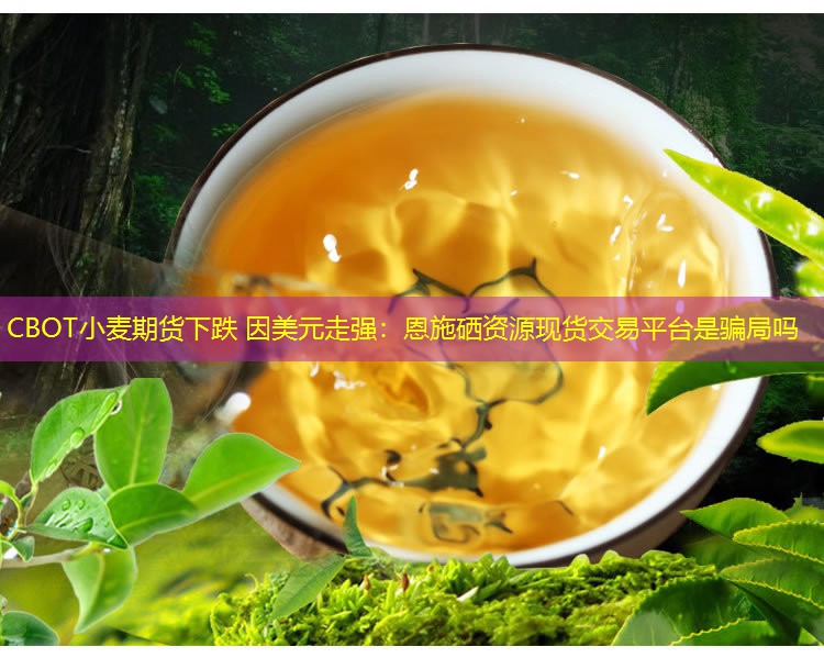 CBOT小麦期货下跌 因美元走强