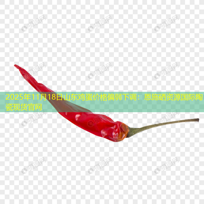 2025年11月18日山东鸡蛋价格偏弱下调